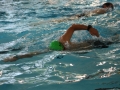DCR_Schwimmseminar_2014_1